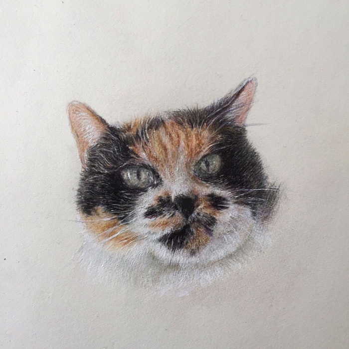 ǭ������ɮ�ǥå���